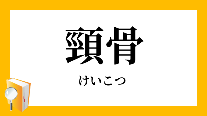 頸骨 けいこつ の意味