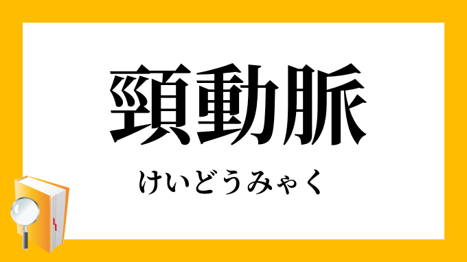 頸動脈 頚動脈 けいどうみゃく の意味