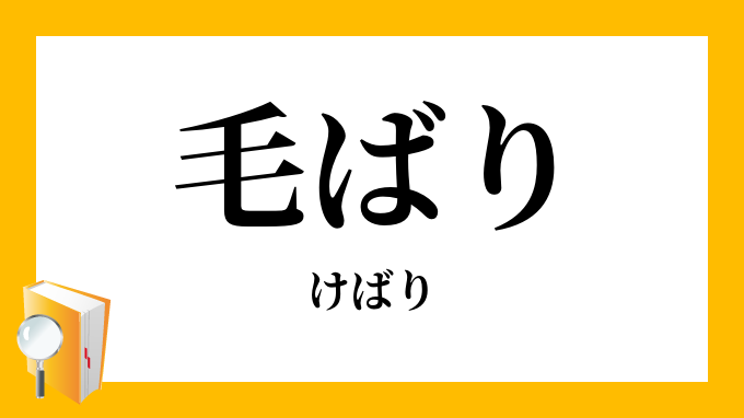 毛ばり 毛鉤 けばり の意味