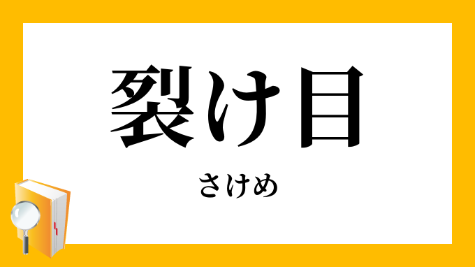 裂け目 裂目 さけめ の意味