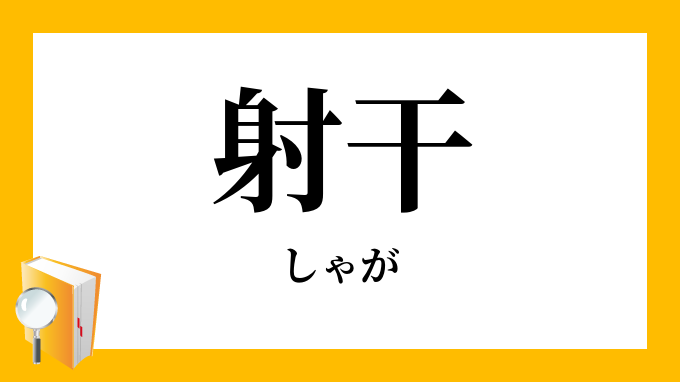 射干 胡蝶花 しゃが の意味