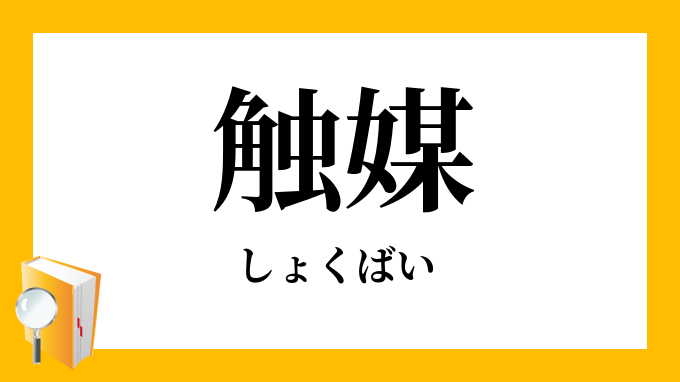 触媒」（しょくばい）の意味
