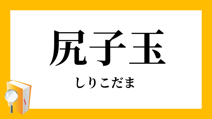 尻子玉 しりこだま の意味