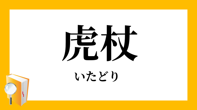 虎杖 いたどり の意味