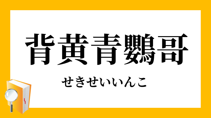 背黄青鸚哥 せきせいいんこ の意味