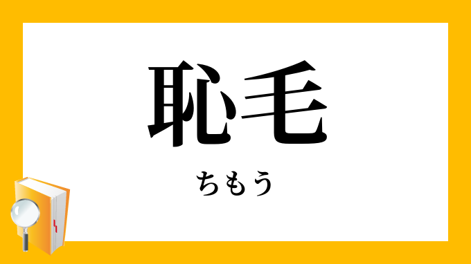 恥毛