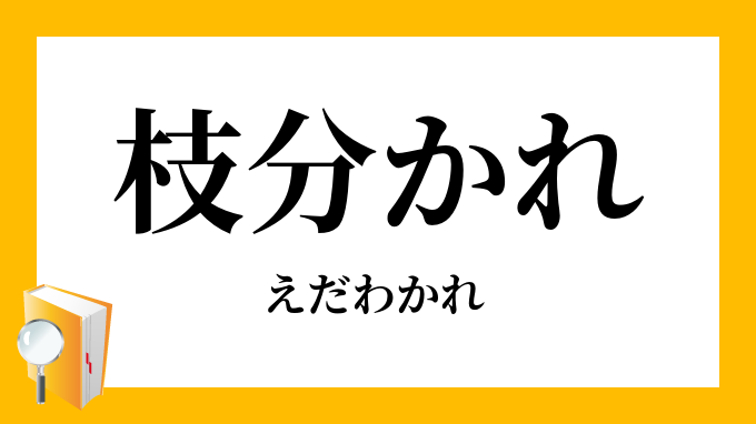 枝分かれ