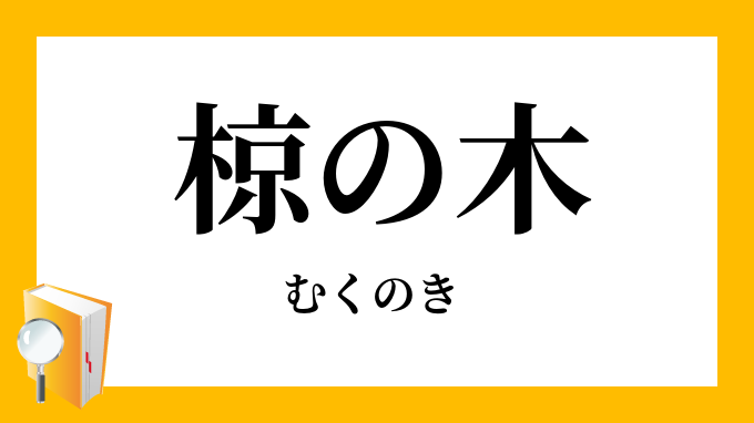 椋の木 むくのき の意味