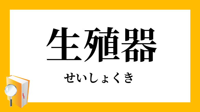 生殖器 せいしょくき の意味