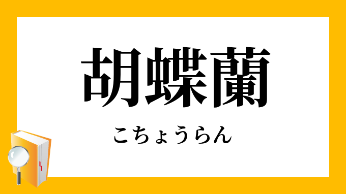 胡蝶蘭 こちょうらん の意味