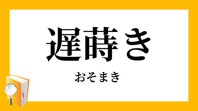 遅蒔き