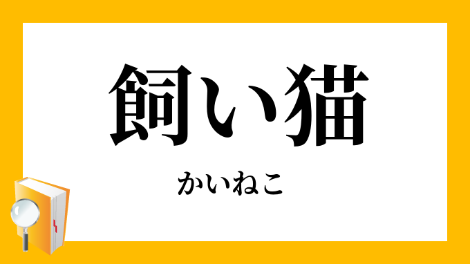 飼い猫 かいねこ の意味