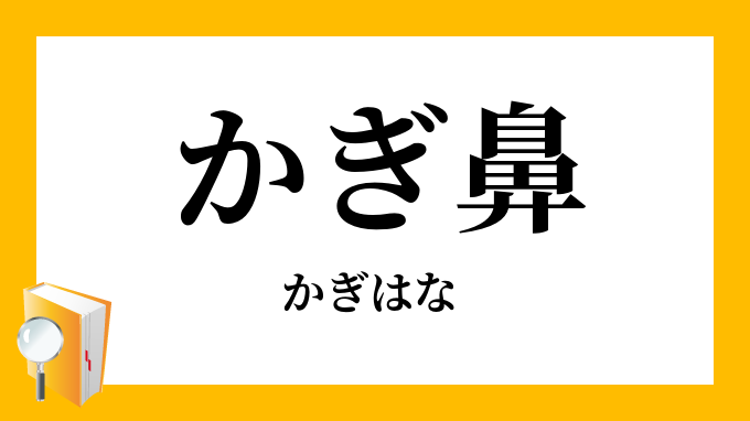 かぎ鼻 鉤鼻 かぎはな の意味